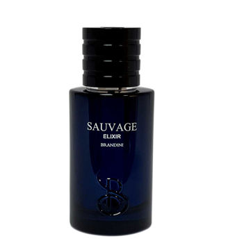 عطر مردانه Sauvage Elixir حجم 33 میل برندینی